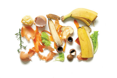 Food Waste